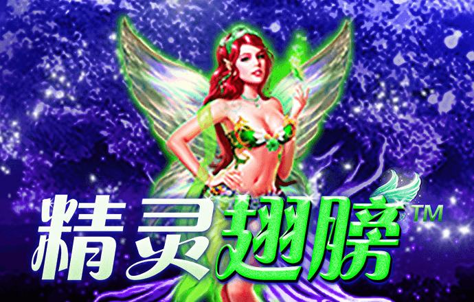 333体育APP
